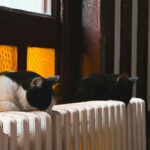 Ce trebuie să știi înainte să investești în echipamente de încălzire