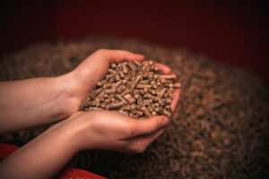 hands-full-wood-pellets-concept-renewable-energy-sustainable-future