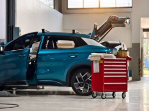 photo_5891107401418000053_w_wp